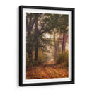 Otoño Caminar Yo - Danny Head | Cuadro decorativo de Canvas Lab