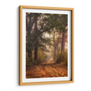 Otoño Caminar Yo - Danny Head | Cuadro decorativo de Canvas Lab