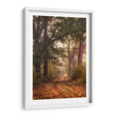 Otoño Caminar Yo - Danny Head | Cuadro decorativo de Canvas Lab
