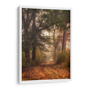 Otoño Caminar Yo - Danny Head | Cuadro decorativo de Canvas Lab