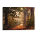 Autumns Walk Ii - Danny Head | Cuadro decorativo de Canvas Lab
