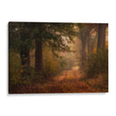 Autumns Walk Iii - Danny Head | Cuadro decorativo de Canvas Lab
