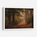 Autumns Walk Iii - Danny Head | Cuadro decorativo de Canvas Lab