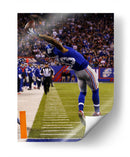 The Catch Odell Beckham Junior | Cuadro decorativo de Canvas Lab