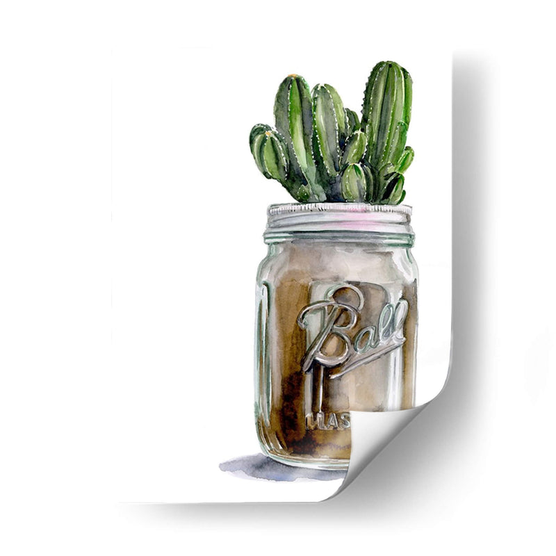 Cactus Mason Jar I - Jennifer Paxton Parker | Cuadro decorativo de Canvas Lab