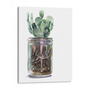 Cactus Mason Jar Ii - Jennifer Paxton Parker | Cuadro decorativo de Canvas Lab