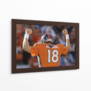 Touchdown Peyton Manning | Cuadro decorativo de Canvas Lab