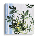 Planta Interior I - Emma Scarvey | Cuadro decorativo de Canvas Lab