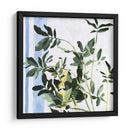 Planta Interior I - Emma Scarvey | Cuadro decorativo de Canvas Lab