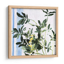 Planta Interior I - Emma Scarvey | Cuadro decorativo de Canvas Lab