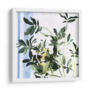 Planta Interior I - Emma Scarvey | Cuadro decorativo de Canvas Lab