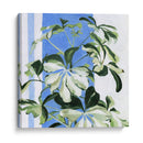 Planta Interior Ii - Emma Scarvey | Cuadro decorativo de Canvas Lab