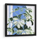 Planta Interior Ii - Emma Scarvey | Cuadro decorativo de Canvas Lab