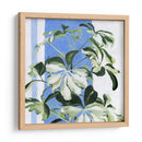 Planta Interior Ii - Emma Scarvey | Cuadro decorativo de Canvas Lab