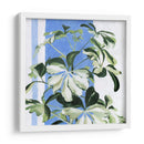 Planta Interior Ii - Emma Scarvey | Cuadro decorativo de Canvas Lab