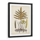 Fern Botanical I - Vision Studio | Cuadro decorativo de Canvas Lab