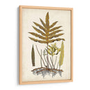 Fern Botanical I - Vision Studio | Cuadro decorativo de Canvas Lab