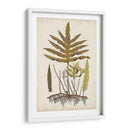 Fern Botanical I - Vision Studio | Cuadro decorativo de Canvas Lab