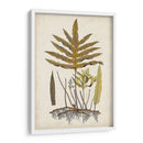 Fern Botanical I - Vision Studio | Cuadro decorativo de Canvas Lab