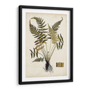 Fern Botanical Iv - Vision Studio | Cuadro decorativo de Canvas Lab