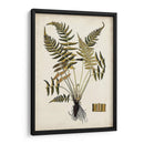 Fern Botanical Iv - Vision Studio | Cuadro decorativo de Canvas Lab