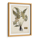 Fern Botanical Iv - Vision Studio | Cuadro decorativo de Canvas Lab