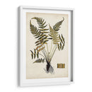 Fern Botanical Iv - Vision Studio | Cuadro decorativo de Canvas Lab
