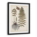 Helecho Botánico V - Vision Studio | Cuadro decorativo de Canvas Lab