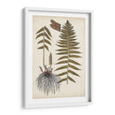 Helecho Botánico V - Vision Studio | Cuadro decorativo de Canvas Lab