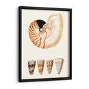 Colección De Cáscara I - Vision Studio | Cuadro decorativo de Canvas Lab
