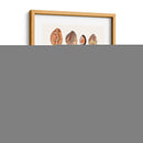 Colección Shell Ii - Vision Studio | Cuadro decorativo de Canvas Lab
