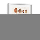 Colección Shell Ii - Vision Studio | Cuadro decorativo de Canvas Lab