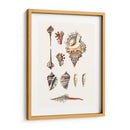 Colección De Cáscara V - Vision Studio | Cuadro decorativo de Canvas Lab