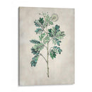 Árbol Acacia I - Vision Studio | Cuadro decorativo de Canvas Lab