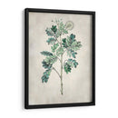 Árbol Acacia I - Vision Studio | Cuadro decorativo de Canvas Lab