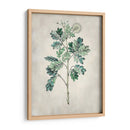 Árbol Acacia I - Vision Studio | Cuadro decorativo de Canvas Lab