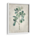 Árbol Acacia I - Vision Studio | Cuadro decorativo de Canvas Lab