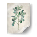 Árbol Acacia I - Vision Studio | Cuadro decorativo de Canvas Lab