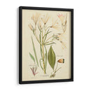 Bosquejo Botánico Antiguo I - Vision Studio | Cuadro decorativo de Canvas Lab