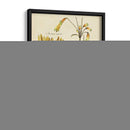 Bosquejo Botánico Antiguo Ii - Vision Studio | Cuadro decorativo de Canvas Lab