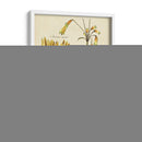 Bosquejo Botánico Antiguo Ii - Vision Studio | Cuadro decorativo de Canvas Lab