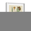 Bosquejo Botánico Antiguo Iii - Vision Studio | Cuadro decorativo de Canvas Lab