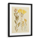 Bosquejo Botánico Antiguo Iv - Vision Studio | Cuadro decorativo de Canvas Lab