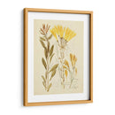 Bosquejo Botánico Antiguo Iv - Vision Studio | Cuadro decorativo de Canvas Lab