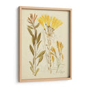 Bosquejo Botánico Antiguo Iv - Vision Studio | Cuadro decorativo de Canvas Lab