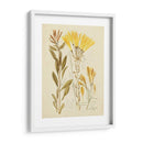 Bosquejo Botánico Antiguo Iv - Vision Studio | Cuadro decorativo de Canvas Lab