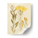 Bosquejo Botánico Antiguo Iv - Vision Studio | Cuadro decorativo de Canvas Lab