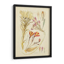 Bosquejo Botánico Antiguo V - Vision Studio | Cuadro decorativo de Canvas Lab