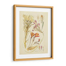 Bosquejo Botánico Antiguo V - Vision Studio | Cuadro decorativo de Canvas Lab