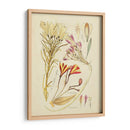 Bosquejo Botánico Antiguo V - Vision Studio | Cuadro decorativo de Canvas Lab